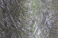 Maxey fibreglass roof work